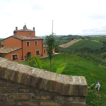 Il Fosso Del Gallo