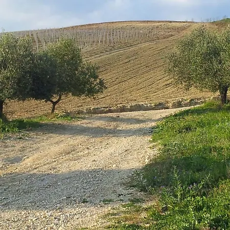 Il Fosso Del Gallo Casa di campagna *