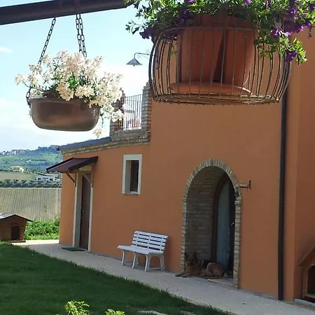 Il Fosso Del Gallo *