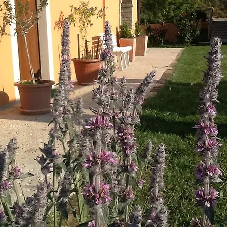 Casa di campagna Il Fosso Del Gallo *