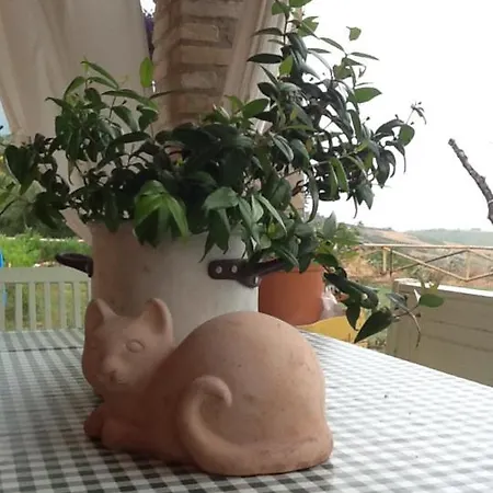 Il Fosso Del Gallo