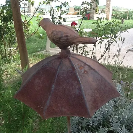 Il Fosso Del Gallo *