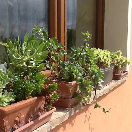 Il Fosso Del Gallo Casa di campagna *