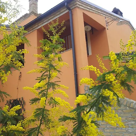 Casa di campagna Il Fosso Del Gallo Silvi Marina